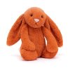 Bashful Tangerine Bunny
