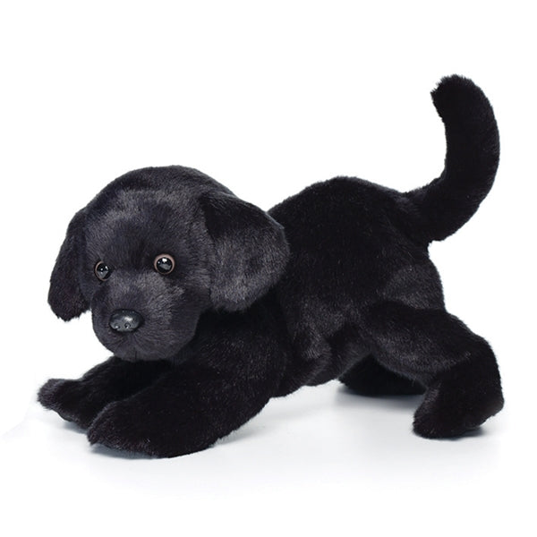 Chester Black Lab